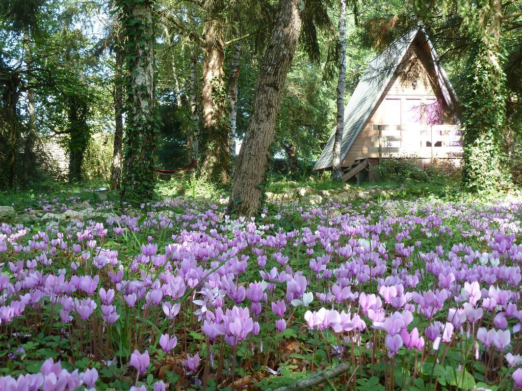 La Rossignolerie - Cabane Aux Oiseaux Chouzy-sur-Cisse Bagian luar foto
