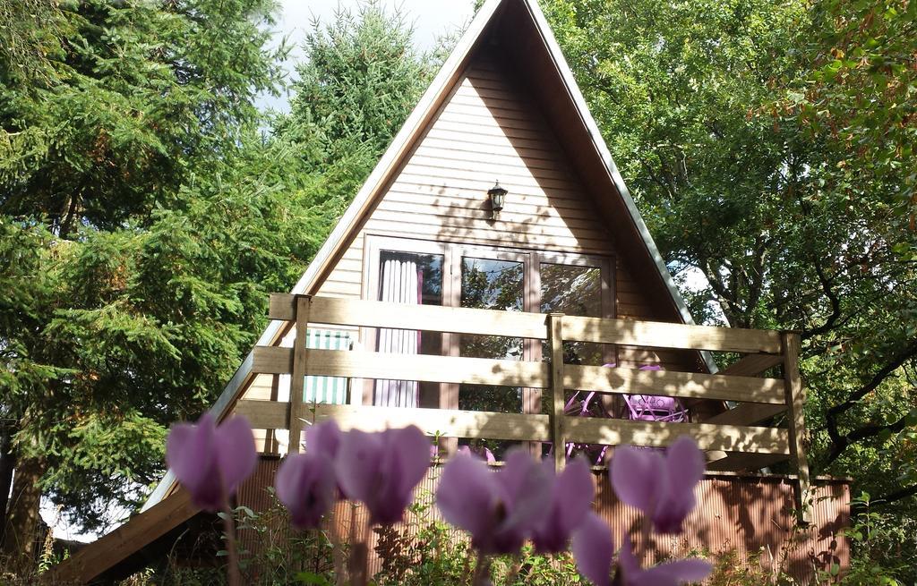 La Rossignolerie - Cabane Aux Oiseaux Chouzy-sur-Cisse Bagian luar foto